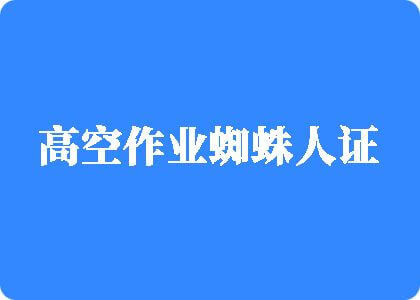 舔我啊,网站高空作业蜘蛛人证